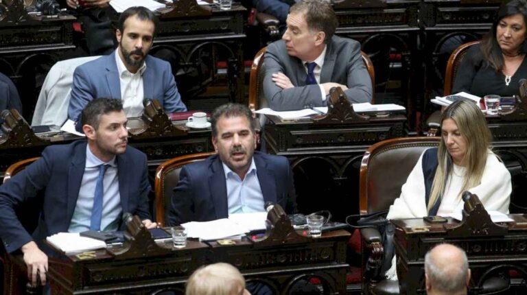 diputados-del-pro-presentaron-un-proyecto-para-que-el-estado-pueda-intervenir-en-casos-de-violencia-de-genero