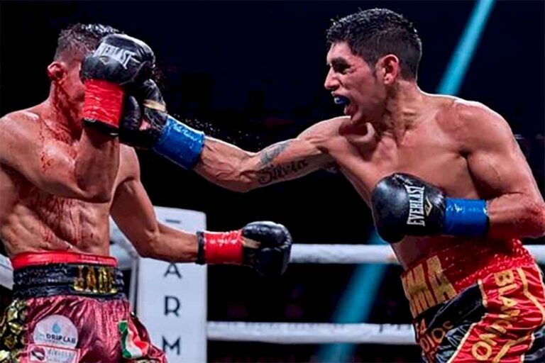 boxeo:-«puma»-martinez-dio-positivo-de-influenza-y-no-peleara-con-ioka