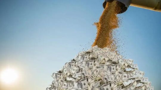 Recorte de retenciones al agro: La comercialización mostró una leve reactivación