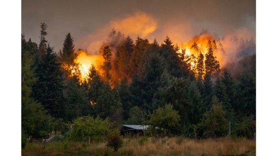 Manejo del Fuego: por cada $5 usados en 2023 se ejecutó $1 en 2024