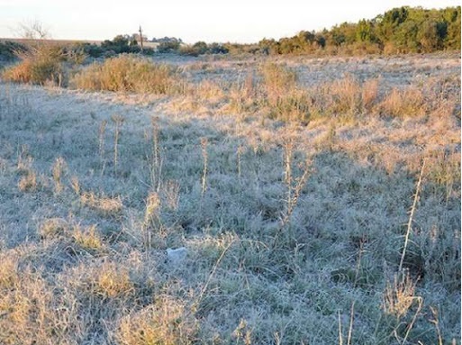 Sáenz Peña fue la ciudad más fría del NEA con -0,3C