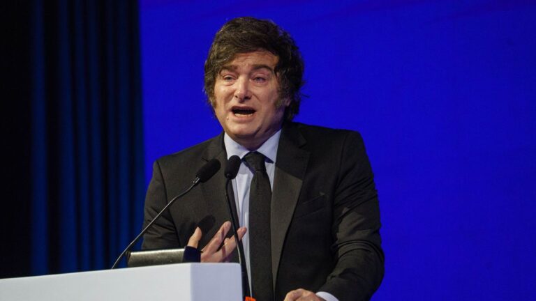 El tuit polémico de Javier Milei por el reclamo de un niño con autismo de la Ley de Discapacidad