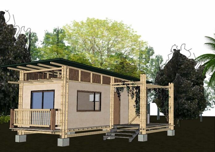 La Guadua Chacoensis: alternativa verde para la construcción de viviendas en el NEA