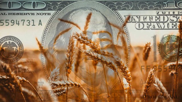 La liquidación del campo sumó u$s3.700 millones y se vienen tres semanas decisivas para el dólar