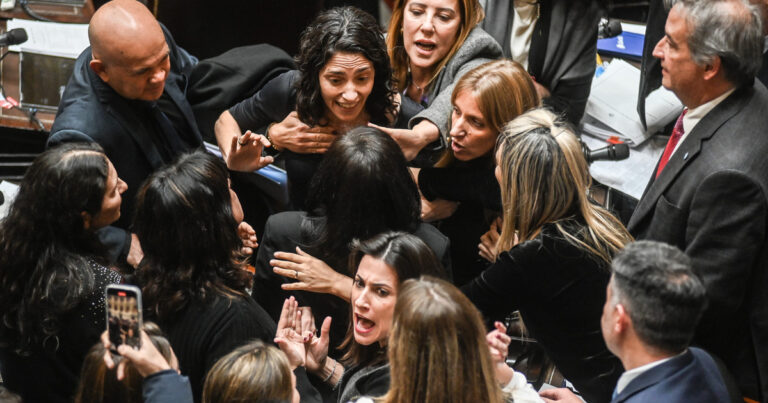 Las fotos y los videos de la pelea entre Juliana Santillán y Paula Penacca en Diputados