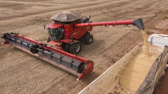 Retenciones al campo: alertan que el 80% del país ya no podría sembrar soja