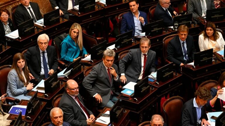 El Senado debate el aumento de jubilaciones y la emergencia por discapacidad