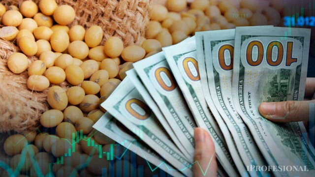 Boom de dólares por la soja: estas son las 4 empresas que manejan este enorme negocio