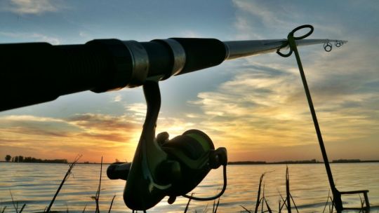 Las 4 dudas más comunes en la pesca de pejerrey en las lagunas