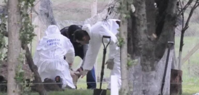 Horror en La Plata: un niño de 2 años que jugaba en la casa de su abuela apareció muerto: creen que lo atacó una jauría