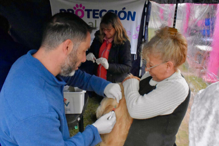 Exitoso operativo territorial en La Liguria
