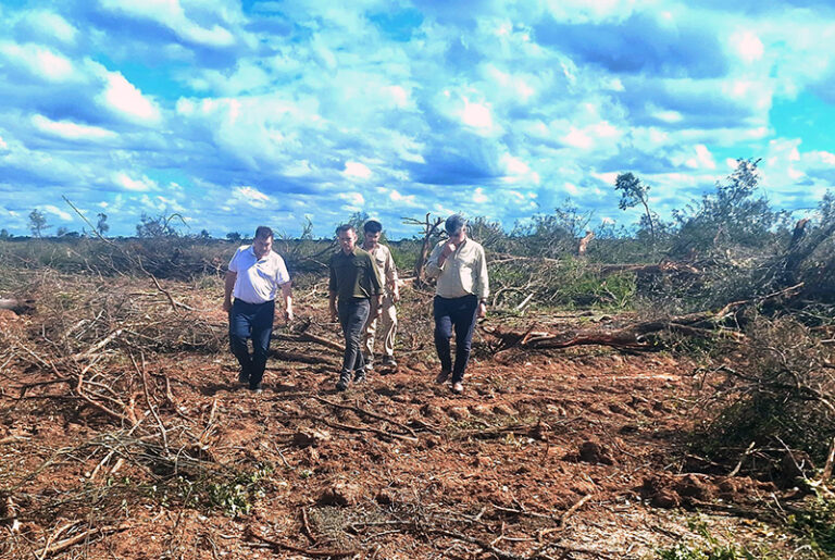 Desde el Ejecutivo exigen a la ambientalista AAA que aporte pruebas de acusaciones recibidas por desmontes