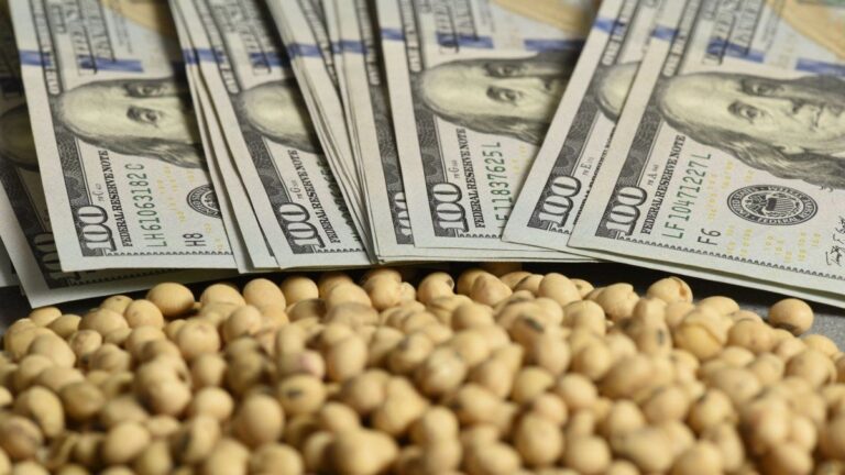 Soja: la tensión comercial entre EEUU y China podría aumentar la ventas argentinas por fuera de temporada