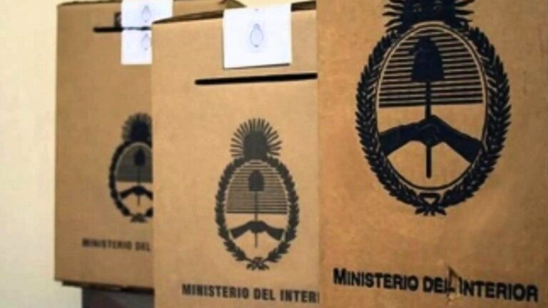 Dónde voto: está caída la página del padrón electoral de las elecciones en la provincia de Buenos Aires