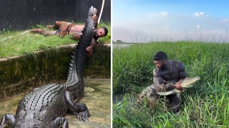 Investigan a un influencer por luchar con cocodrilos