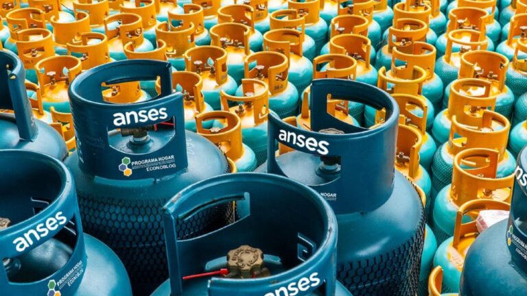 ANSES: cuáles son los requisitos para cobrar el Programa Hogar en septiembre