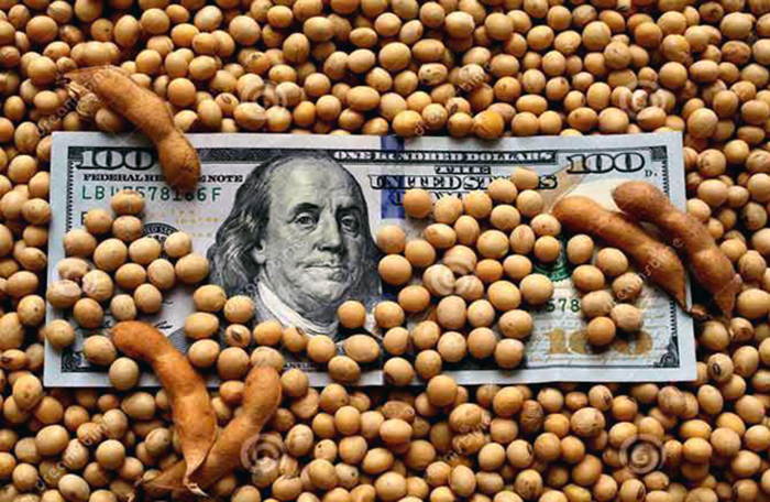 Inédito: en este mes Argentina exportará más poroto que harina de soja gracias a la aspiradora china