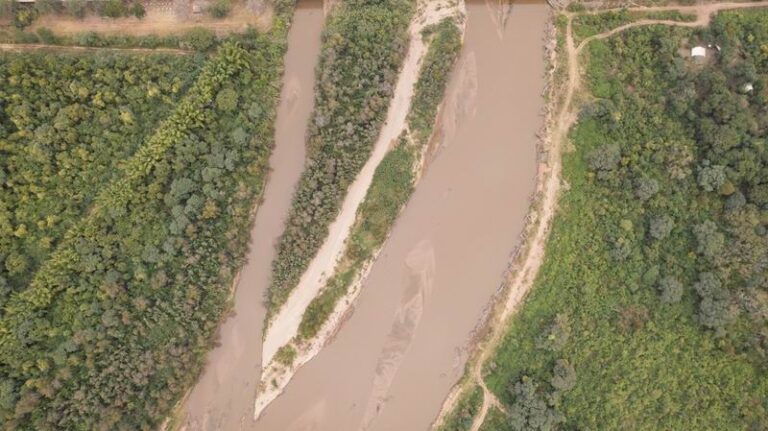 Buscan proteger más de 100 mil hectáreas en el Gran Chaco Argentino