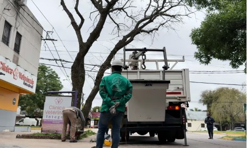 El Municipio respondió una demanda vecinal y podó un árbol en mal estado en la esquina de Lavalle y Liniers