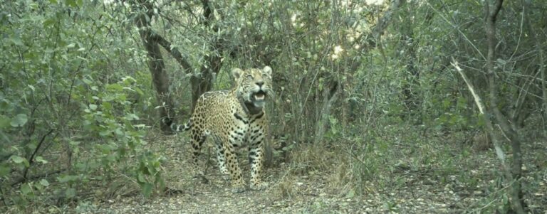 Sigue la búsqueda de Acai: intensos rastrillajes terrestres y fluviales