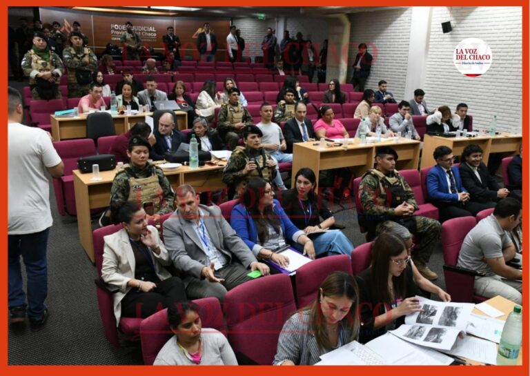 Mañana serán los alegatos finales del Caso Cecilia: cuál será la estrategia de la defensa