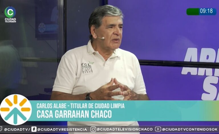 Tratamos de volver a tener mucha actividad en la Casa Garrahan, aseguró Carlos Alabe