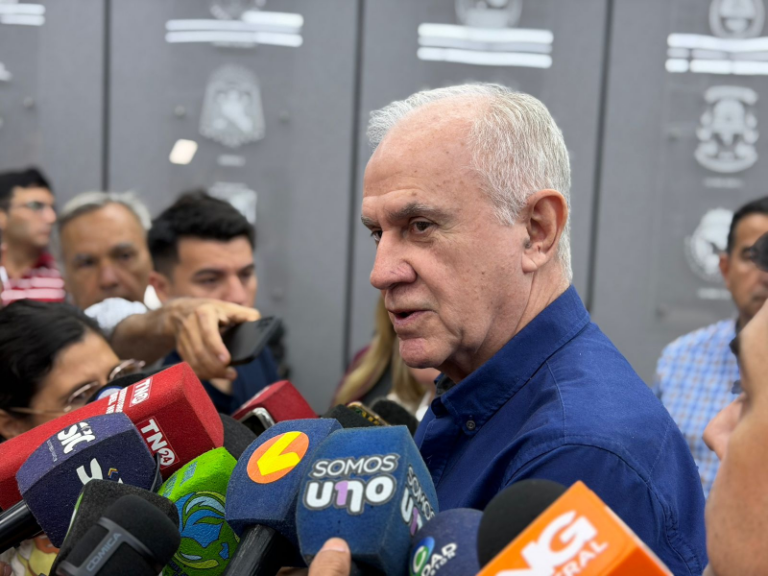 Nikisch, tras el temporal: Más de mil operarios municipales ya estaban comprometidos desde el viernes