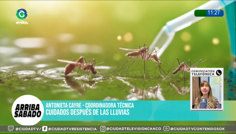 Salud recordó medidas clave tras las lluvias para prevenir dengue y otras enfermedades