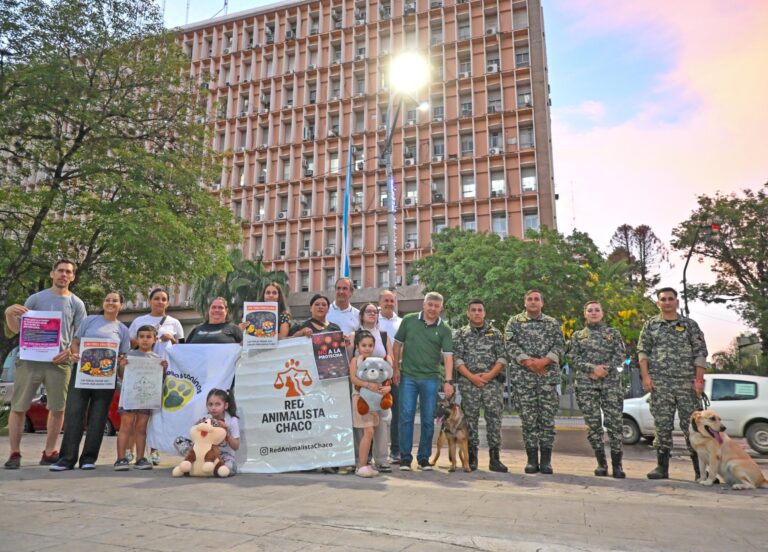 Año Nuevo sin estruendos| Refuerzan controles y alertan por el impacto mortal de la pirotecnia sonora: 40 animales se siguen buscando desde Navidad