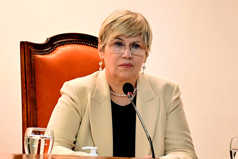 Naidenoff destacó el trabajo de los docentes y de las familias durante 2025