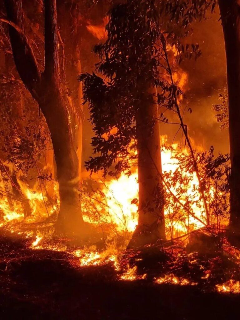 Madrugada de fuego también en Corrientes: 16 hectáreas afectadas en Mocoretá
