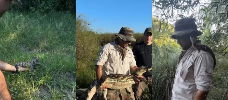 Liberaron siete animales rescatados en zonas urbanas en la reserva de Colonia Benítez