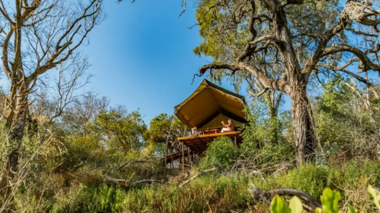 Escapadas cortas en el Chaco y liderazgo de Misiones marcaron el pulso turístico del NEA